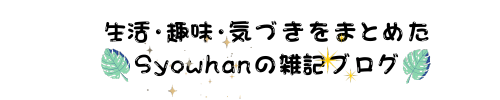 生活・趣味・気づきをまとめたSyowhanの雑記ブログ